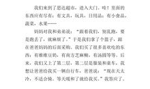 欢庆元旦作文400字