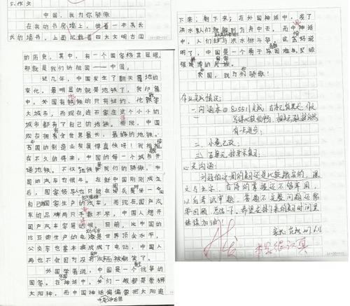 我心目中的英雄300字