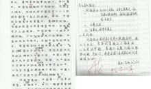 我心目中的英雄300字