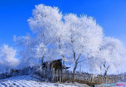 关于冬季风光的构图