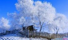 关于冬天景色的作文