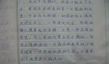 那一次我真幸福300字作文