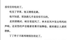 叮叮当当盲羊读后感