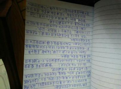 我很高兴能写500个单词