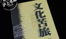 新加坡为什么能读后感