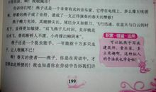 写小动物的作文800字