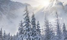 写山风景的作文600字