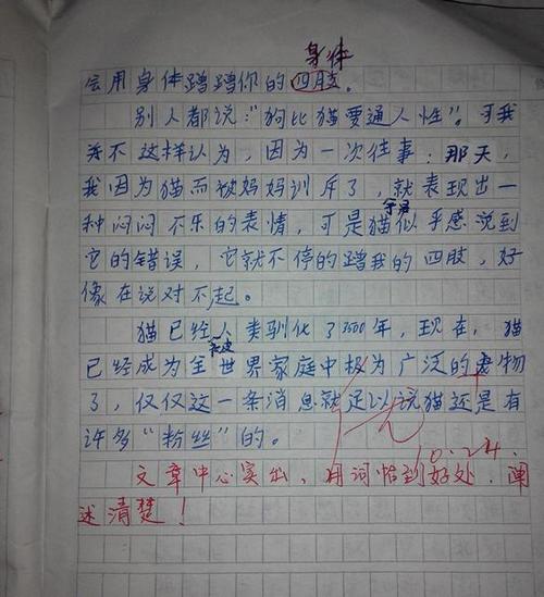 动物启蒙作文400字