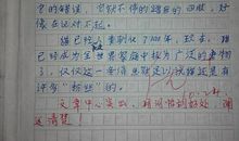 动物启示作文400字