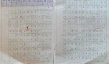 我心中的那颗星作文