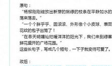 有你们相伴，真好作文