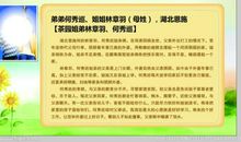 2014最美孝心少年观后感400字