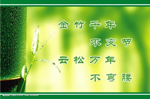 老师的诚实和自律