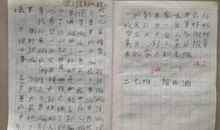 2014最美孝心少年观后感300字