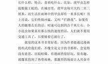 今天我是升旗手读后感200字