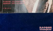 陆犯焉识读后感