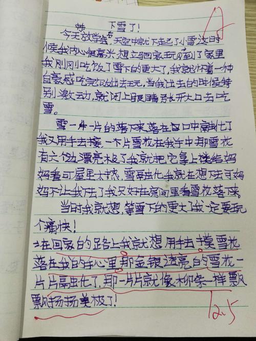 四年级的学生正在下雪