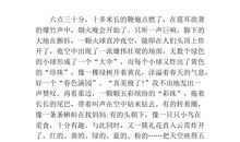 除夕之夜作文450字