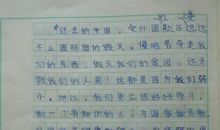 今天我是升旗手读后感400字