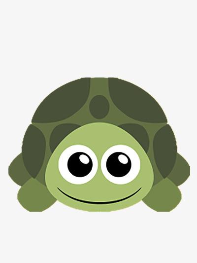 三年级小学作文可爱乌龟500字