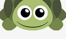 小学三年级作文可爱的乌龟500字