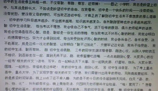 难忘的事物构图550字构图