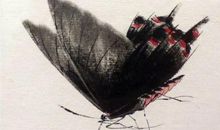 习作：《草虫的世界也很美》