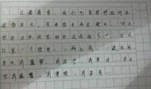 小学生作文下雪了