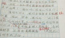 难忘的一个同学作文
