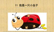 《我是一只小虫子》