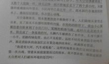 三年级作文写一种花