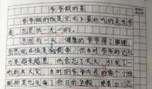 考试作文600字