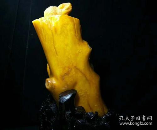 读《空心菜和蜥蜴》后的感想