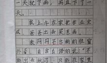 三年级作文大全