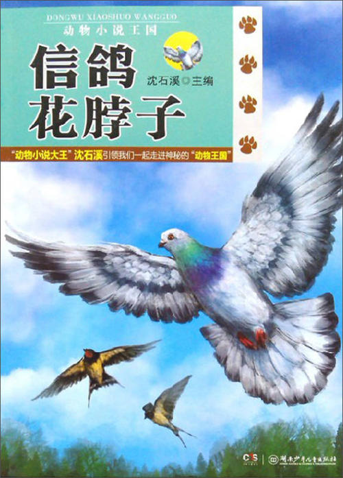 归巢的鸽子看完后会花脖子