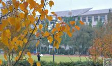 美丽的秋天300字