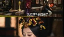 《芈月传》读后感