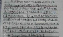 三年级作文一张照片