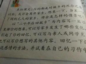 20年后500字的家乡组成