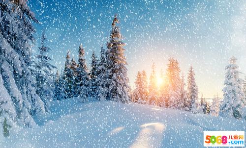冬季风光构图500字