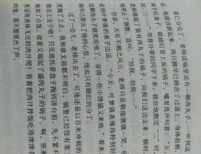 校园一角300个字