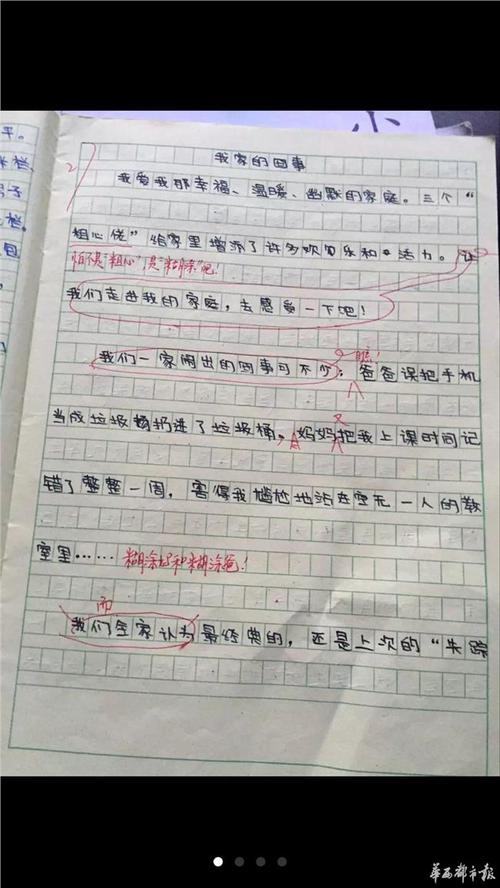 我的兄弟作文500字