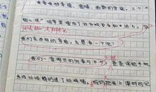 我的弟弟作文500字