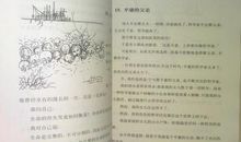 妞妞一个父亲的札记读后感1000字