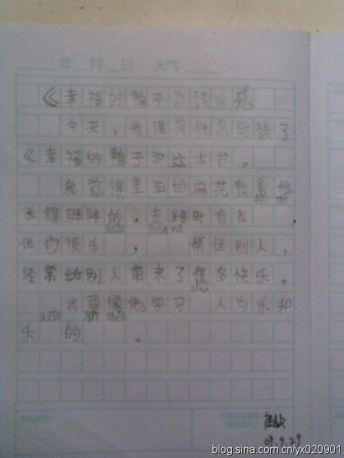 关于阅读《海岛》的思考