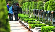 作文清明节扫墓