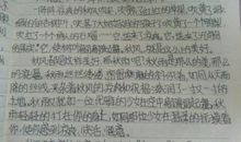 秋天的田野作文