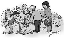 写清明节扫墓的作文