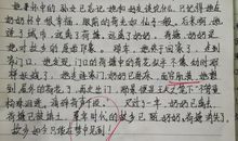 快乐的滋味作文