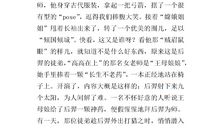 一次精彩的表演作文